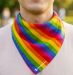 Pride Skjerf